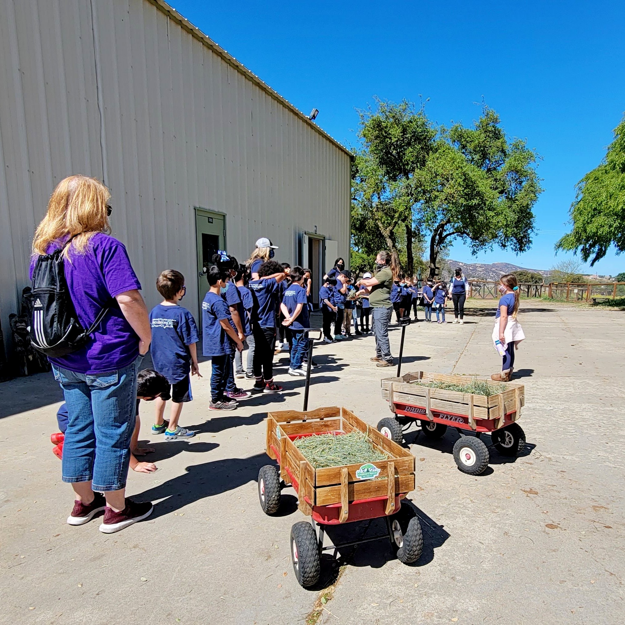 Education Onsite Field trip at the Farm