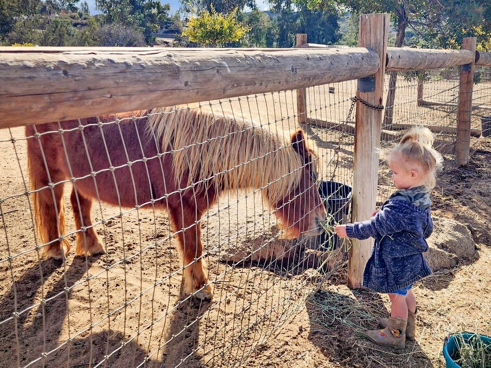 The San Diego Animal Sanctuary and Farm