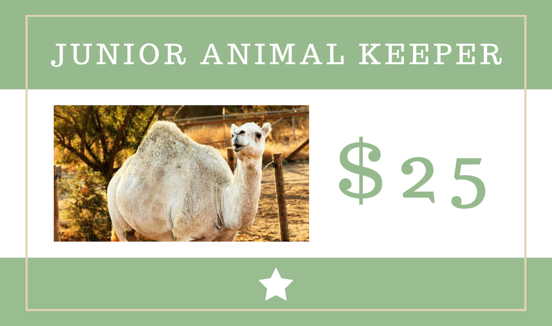 $25 Junior Animal Keeper
