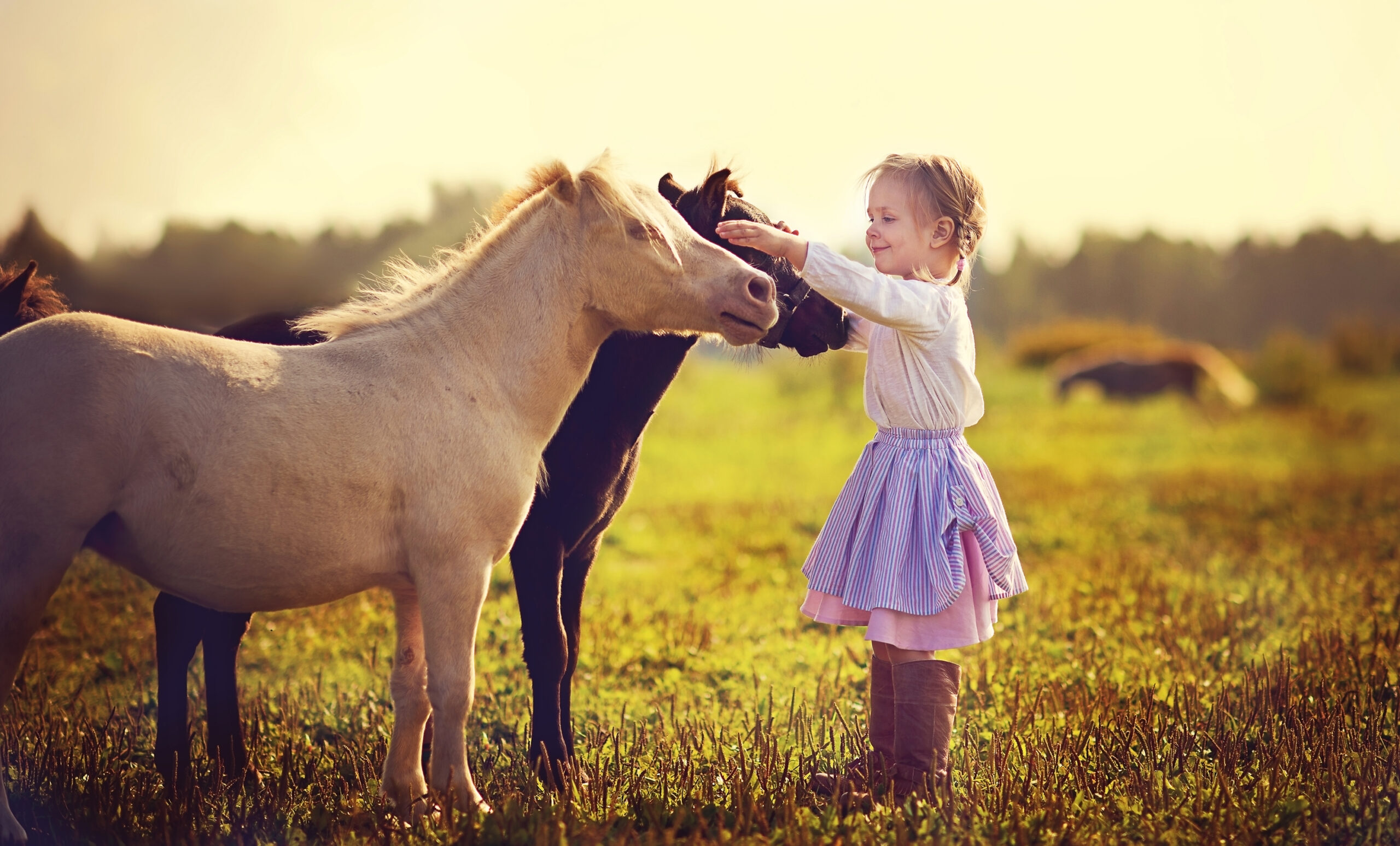 How Animal Interactions Can Help Children Learn Better