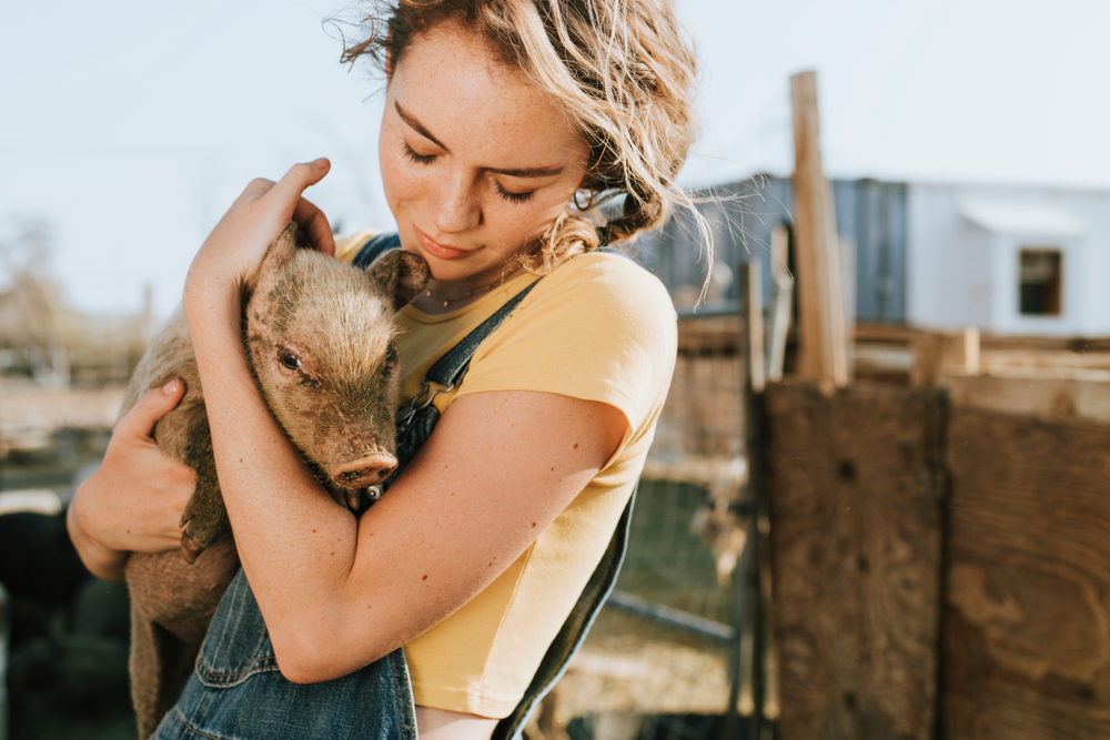 What is an Animal Sanctuary ?