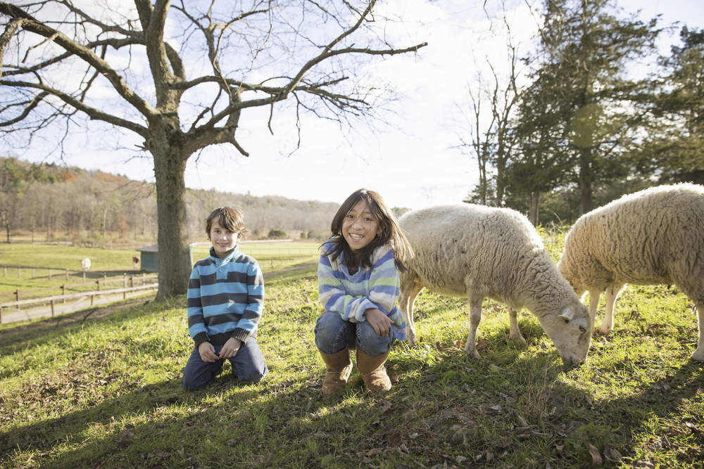 Are Animal Sanctuaries for People of All Ages?