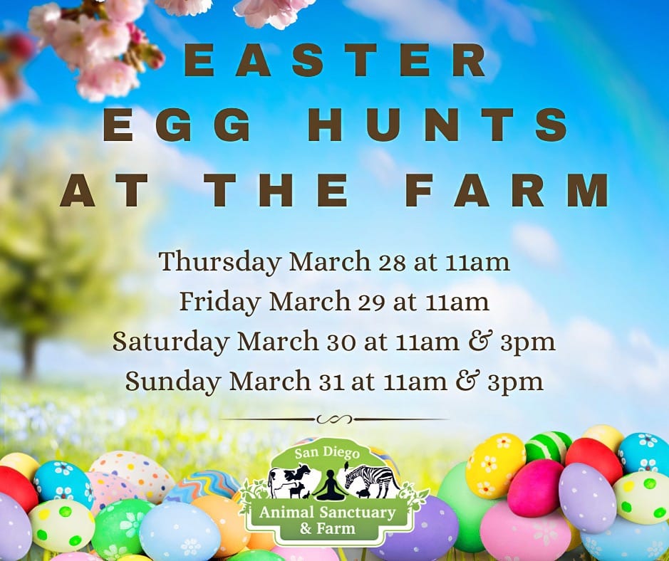 Easter Egg Hunts at the Farm