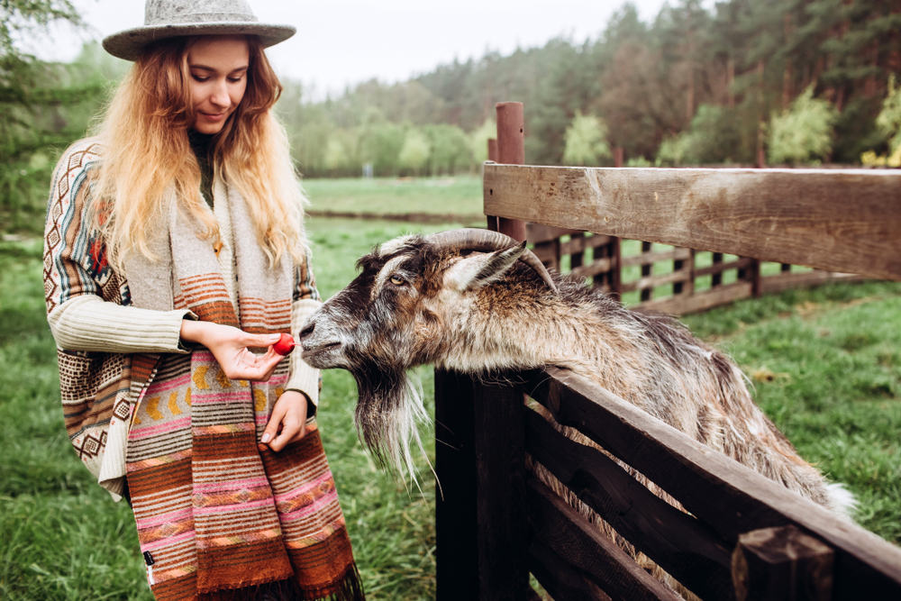 How Animal Sanctuaries Provide Therapeutic Experiences for Humans and Animals Alike