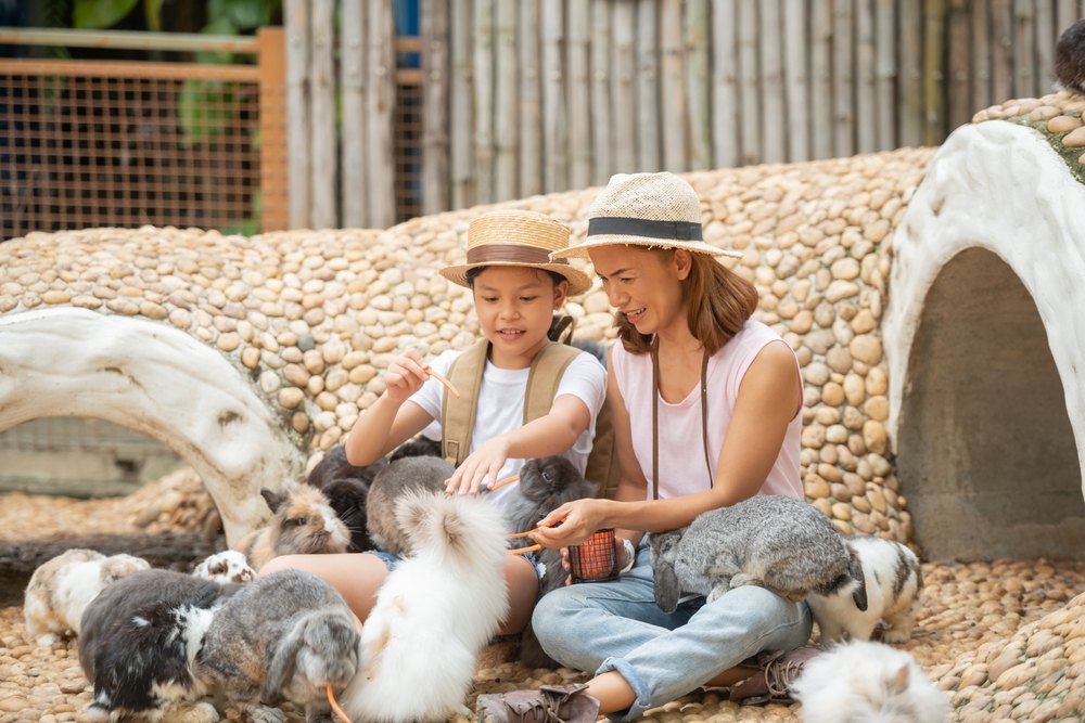 Why Visiting an Animal Sanctuary Is Fun for All Ages