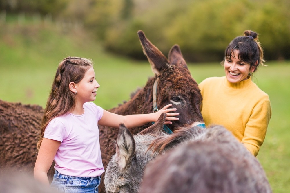 How Animal Sanctuaries Inspire Kindness in Kids