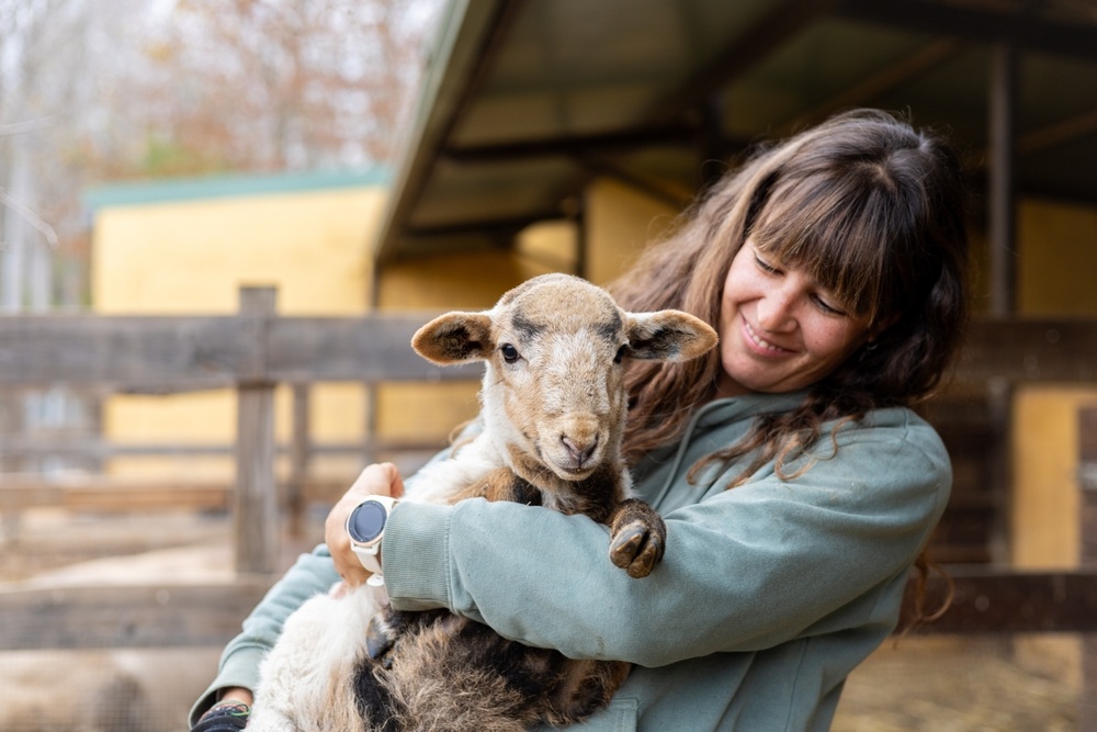 How Visiting Animal Sanctuaries Helps Support Their Rescue Efforts