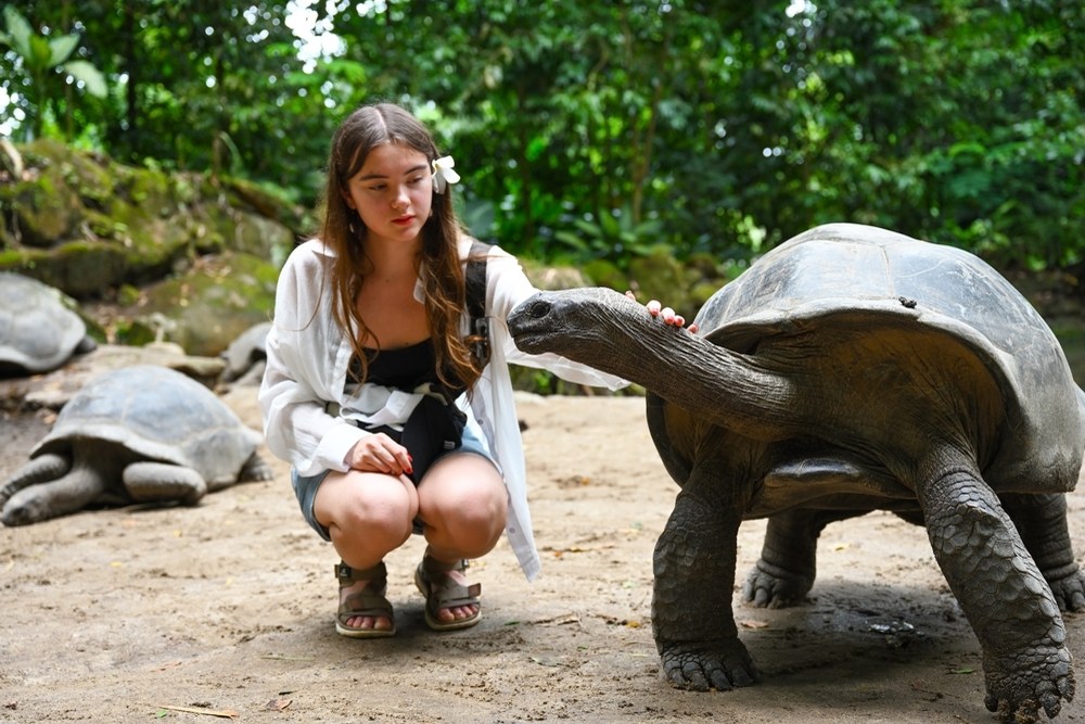Why Animal Sanctuaries Are Perfect for Kids Who Love Wildlife